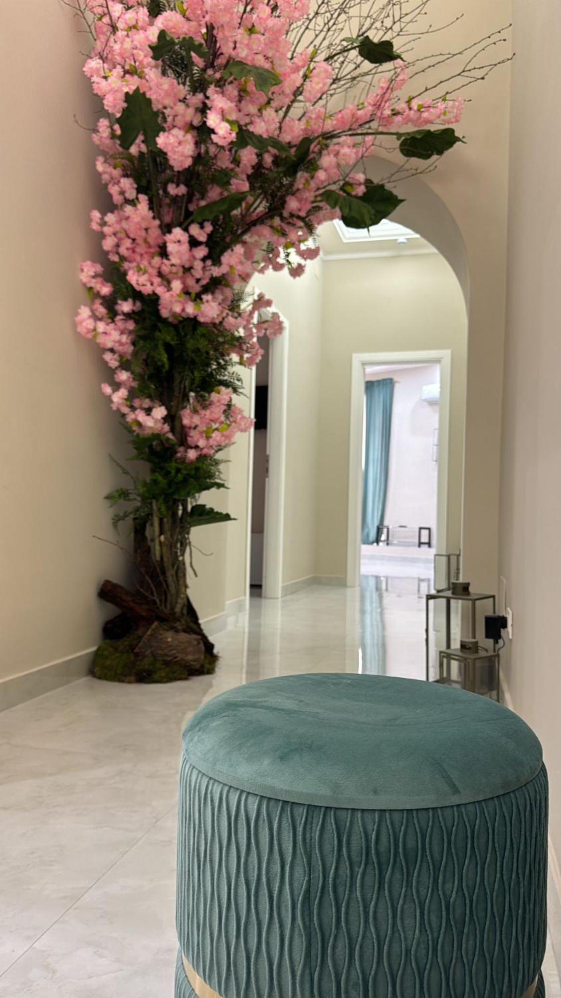 Royal Dream Bed & Breakfast Napoli Ngoại thất bức ảnh